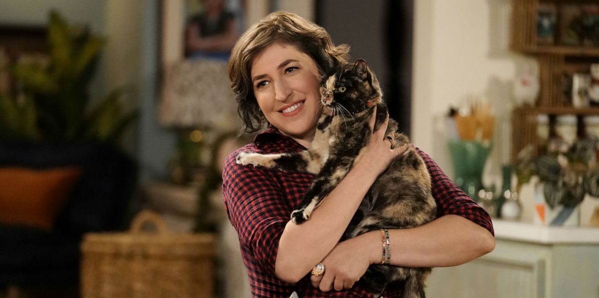 Mayim Bialik de Big Bang Theory révèle que le rêve Call Me Kat se termine après l'annulation

