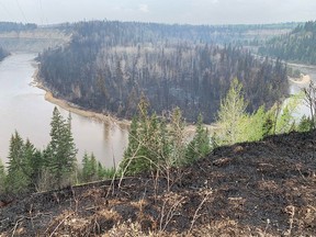 Des arbres brûlés sont aperçus près d'Entwistle, à environ 80 km à l'ouest d'Edmonton, mardi.