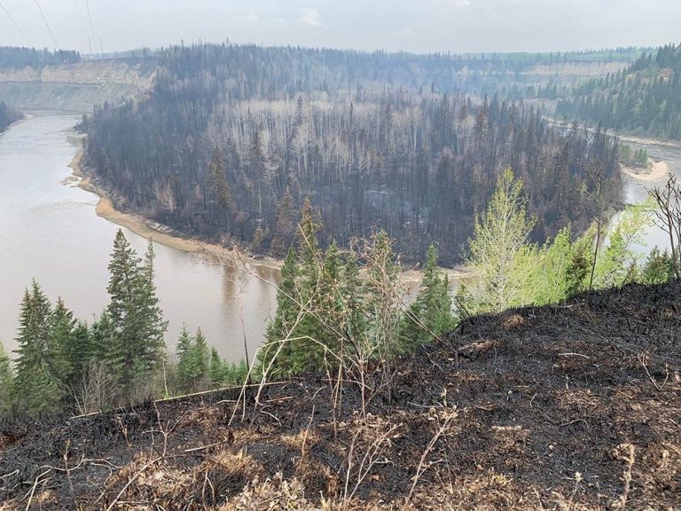 Les autorités se préparent à un autre épisode d’incendies de forêt en Alberta alors que les températures augmentent