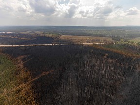 Un paysage brûlé est photographié hier au nord de Hinton.