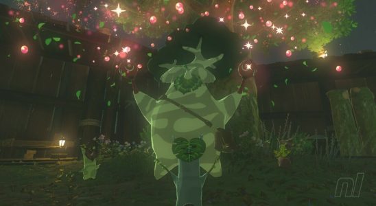 Zelda: Tears Of The Kingdom: Où trouver Hestu