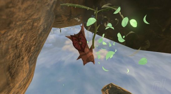 Zelda : Tears Of The Kingdom : Great Sky Island Korok Seeds