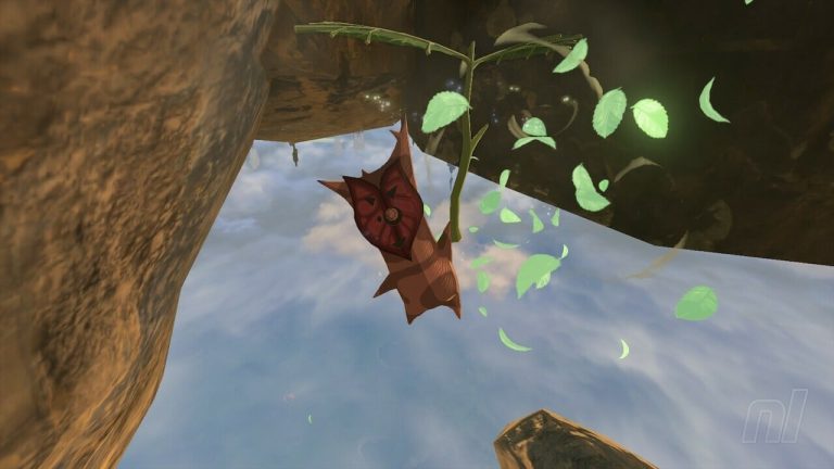 Zelda : Tears Of The Kingdom : Great Sky Island Korok Seeds
