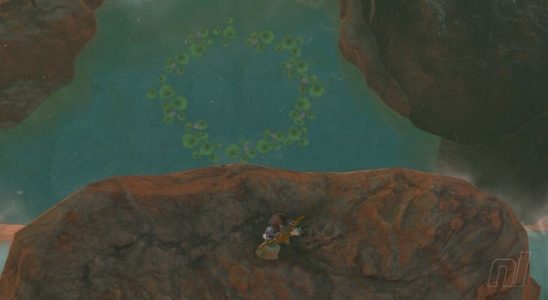 Zelda : Tears Of The Kingdom : Eldin Korok Seeds