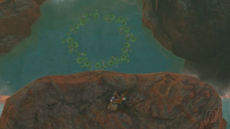 Zelda : Tears Of The Kingdom : Eldin Korok Seeds
