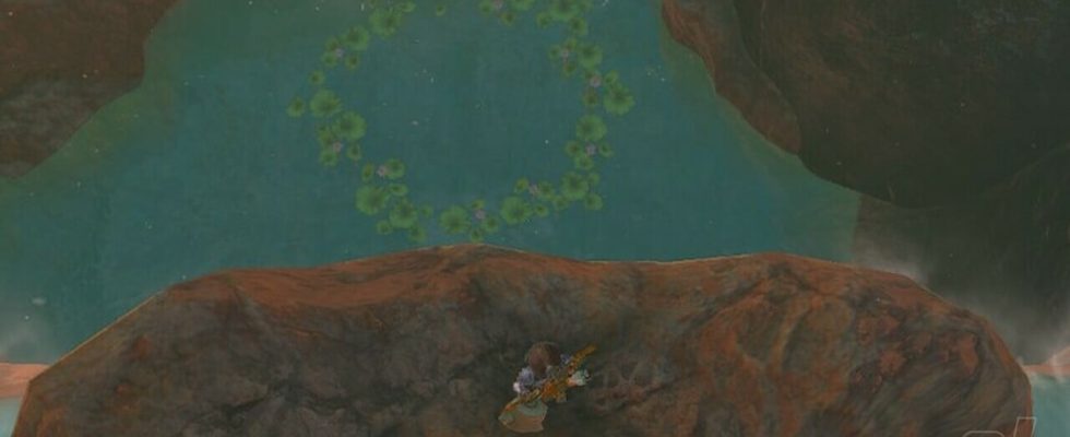 Zelda : Tears Of The Kingdom : Eldin Korok Seeds