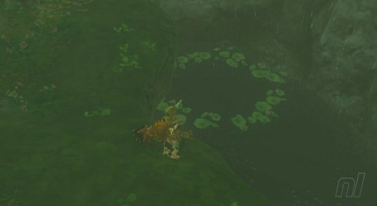 Zelda : Les larmes du royaume : Faron Korok Seeds