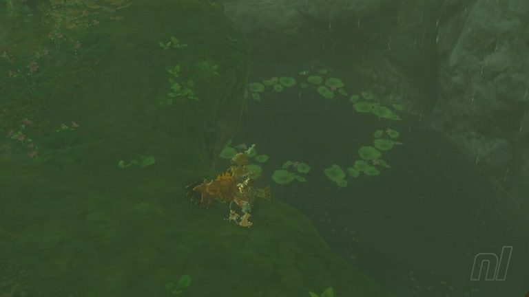 Zelda : Les larmes du royaume : Faron Korok Seeds
