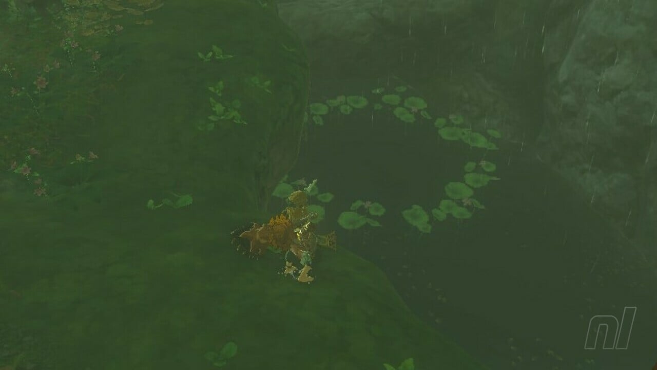 Zelda : Les larmes du royaume : Faron Korok Seeds
