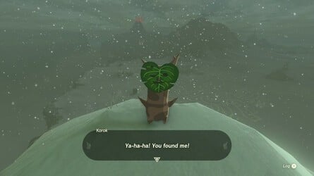 Hebra Korok Seed Locations > Hebra Surface Korok Seed 4 – 2 sur 2″/></figure><figcaption class=