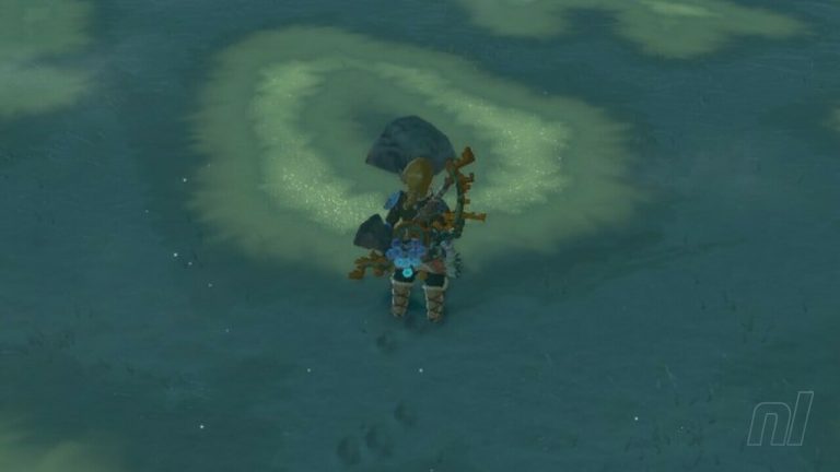 Zelda : Tears Of The Kingdom : Graines de Hebra Korok
