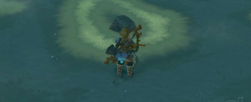 Zelda : Tears Of The Kingdom : Graines de Hebra Korok