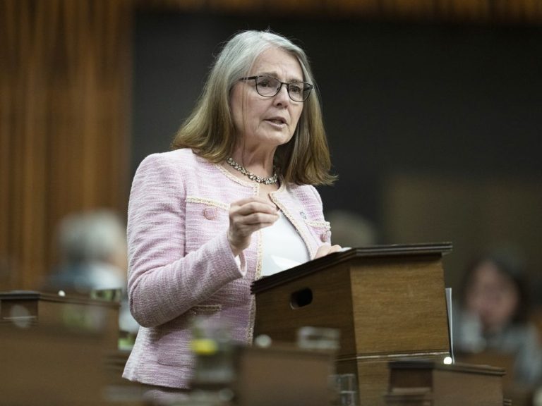 Un député nie que le projet de loi sur la violence contre les femmes enceintes soit un stratagème pour rouvrir le débat sur l’avortement