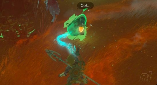 Zelda : Les larmes du royaume : Akkala Korok Seeds