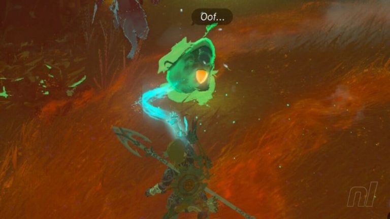 Zelda : Les larmes du royaume : Akkala Korok Seeds
