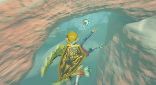 Zelda : Tears Of The Kingdom : Gerudo Korok Seeds