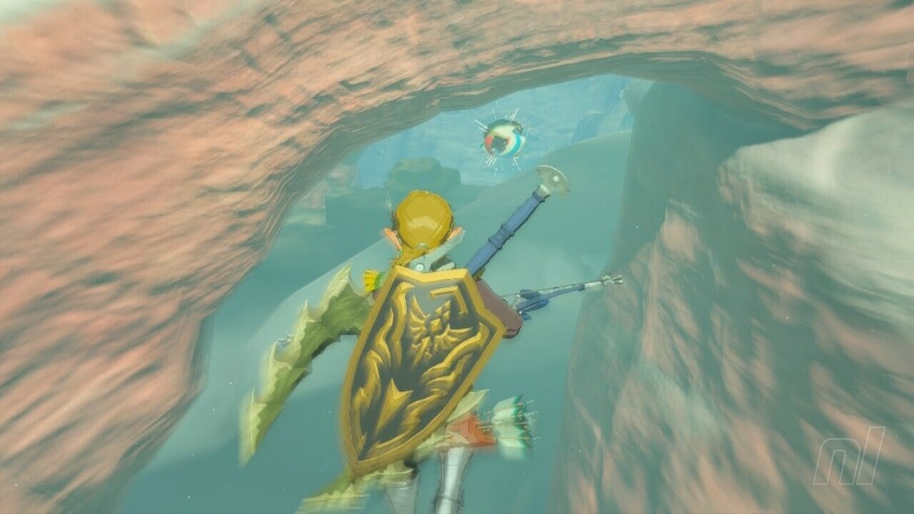 Zelda : Tears Of The Kingdom : Gerudo Korok Seeds
