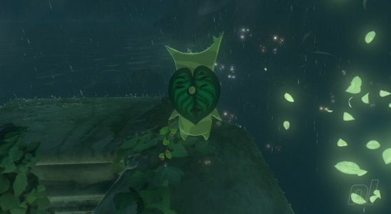 Zelda : Les larmes du royaume : Lanayru Korok Seeds