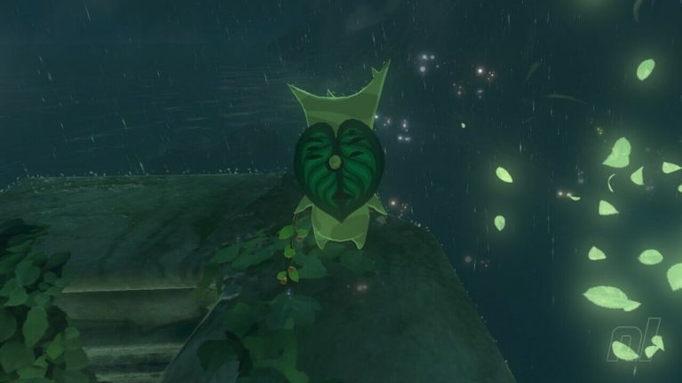 Zelda : Les larmes du royaume : Lanayru Korok Seeds
