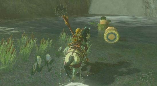 Zelda : Tears Of The Kingdom : Necluda Korok Seeds