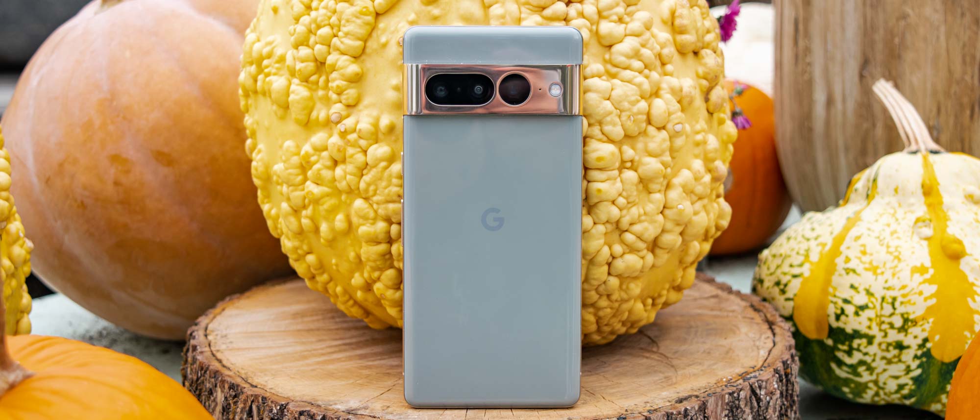 Vue arrière du Google Pixel 7 Pro