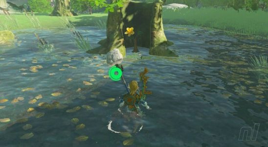 Zelda : Tears Of The Kingdom : Central Hyrule Korok Seeds