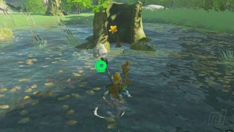 Zelda : Tears Of The Kingdom : Central Hyrule Korok Seeds
