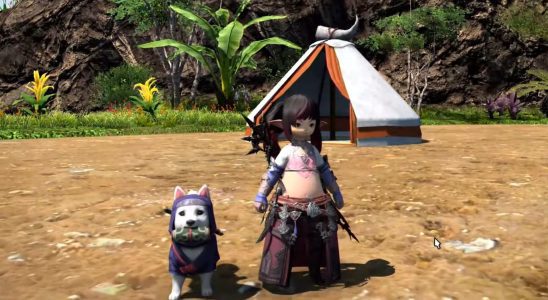 Final Fantasy XIV Update 6.4 Gameplay et détails révélés : décoration du sanctuaire de l'île et bien plus encore