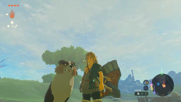 can you pet the dog this time in The Legend of Zelda: Tears of the Kingdom - answer no