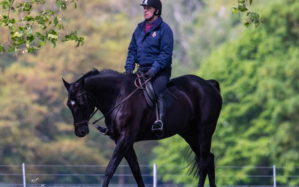 Prince Andrew dans le Grand Parc de Windsor - Richard Gillard