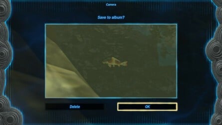 Zelda: Tears Of The Kingdom: Comment prendre des photos 6