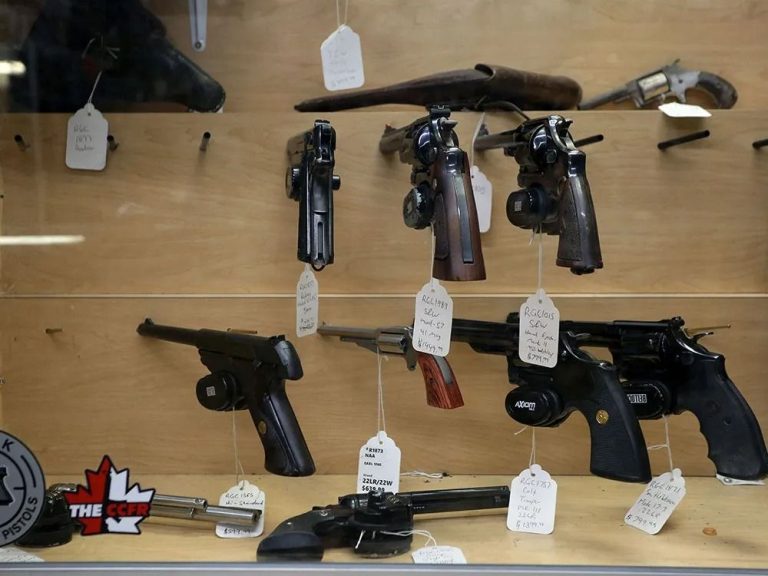 La révocation plus facile des permis d’armes à feu est passée à travers un comité par les libéraux qualifiés de « préoccupants »