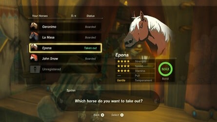 Zelda: Tears Of The Kingdom: Meilleurs chevaux