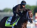   Forte s'entraîne sur la piste pendant les entraînements du matin en préparation de la 149e édition du Kentucky Derby à Churchill Downs le 4 mai 2023 à Louisville, Kentucky.