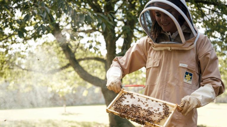 La princesse souriante de Galles s’intéresse à l’apiculture