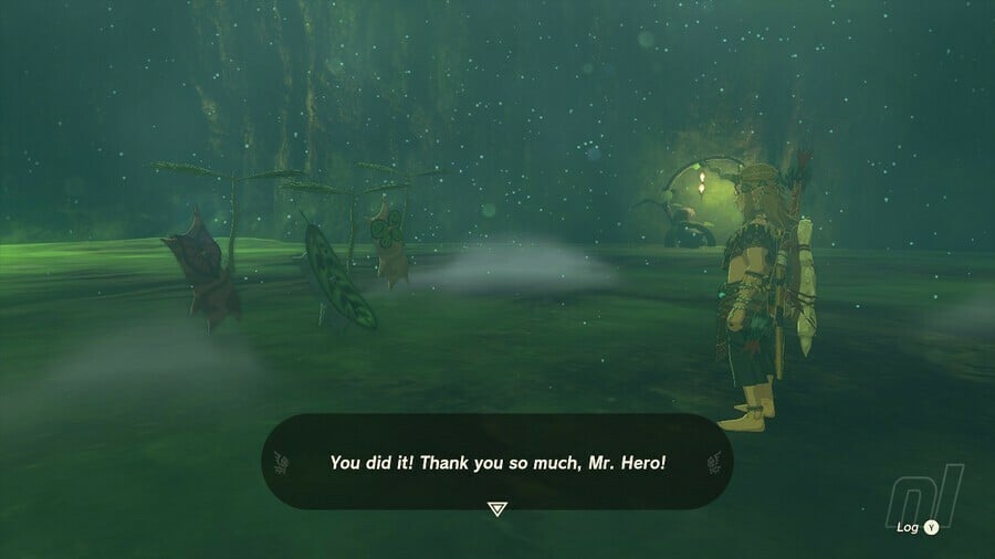 Zelda: Tears Of The Kingdom: Comment se rendre à la forêt de Korok, Lost Woods 13