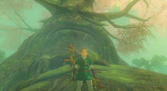 Zelda: Tears Of The Kingdom: Comment se rendre à la forêt de Korok, Lost Woods