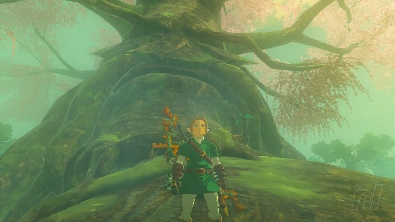 Zelda: Tears Of The Kingdom: Comment se rendre à la forêt de Korok, Lost Woods
