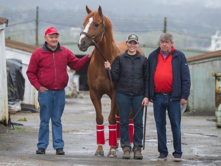 Randy Goulding: l’hippodrome de Hastings a expérimenté l’analyste de Bailey Williams