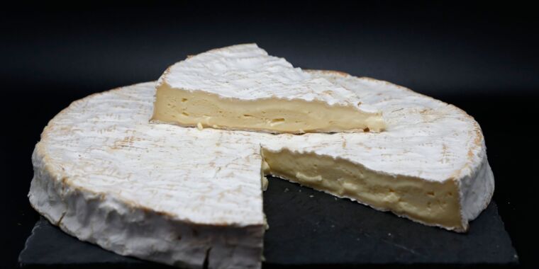 Le cas curieux du brie à base de noix qui a provoqué une épidémie dans plusieurs États