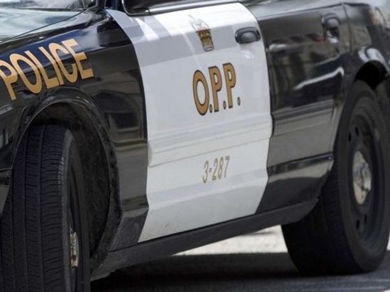 Officier de la Police provinciale de l’Ontario, chauffeur d’autobus scolaire tué dans un accident près de Woodstock, en Ontario.