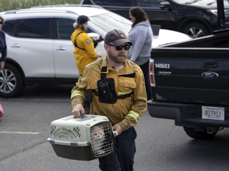 « C’EST JUSTE LE CHAOS »: un homme d’Halifax apprend qu’il est rentré chez lui alors que les responsables avertissent d’un danger d’incendie de forêt