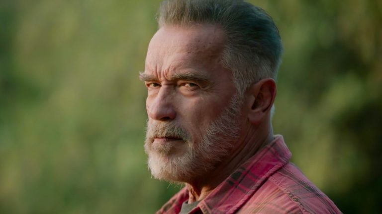 Arnold Schwarzenegger nomme son rôle le plus "sous-estimé", et il a 100% raison 
