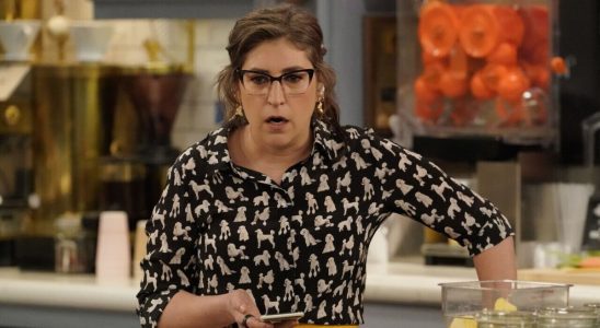 Mayim Bialik in Call Me Kat