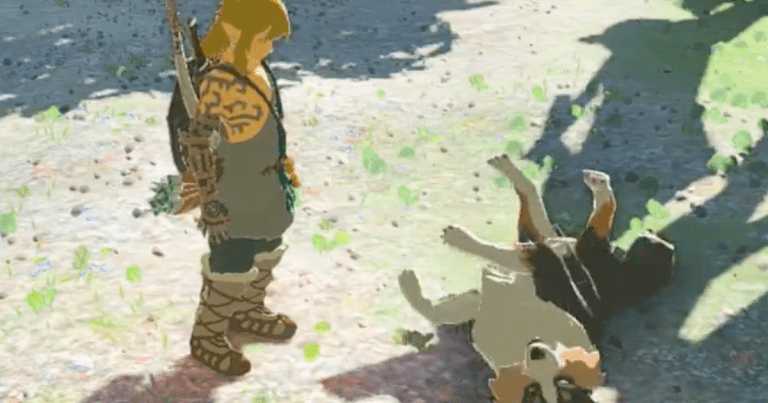 Ces joueurs de Zelda : Tears of Kingdom sont déterminés à caresser le chien
