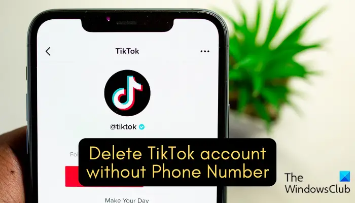 Comment supprimer un compte TikTok sans numéro de téléphone ?