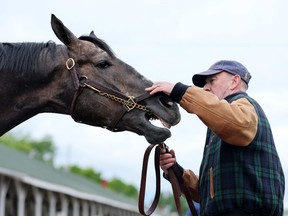 Réincarné est lavé dans la grange lors de l'entraînement du matin pour le Kentucky Derby à Churchill Downs le 1er mai 2023 à Louisville, Kentucky.