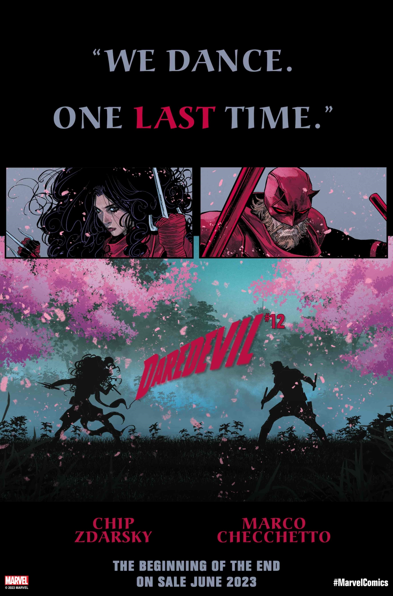 Daredevil # 12 teaser image