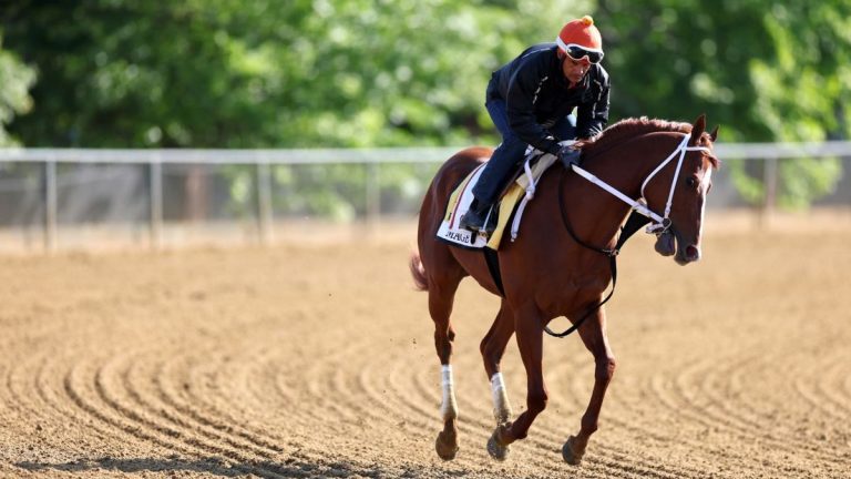 Diffusion en direct de Preakness 2023: comment regarder en ligne en ce moment, temps de course, chevaux et cotes