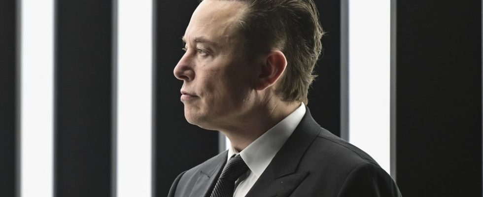 Elon Musk dit que Twitter essaiera de réembaucher certains des 6 300 employés qu'il a licenciés, se défend en comparant Soros à Magneto Les plus populaires doivent lire Inscrivez-vous aux newsletters Variety Plus de nos marques